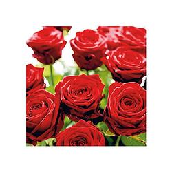 Foto van 20x roden rozen bloemen thema servetten 33 x 33 cm - feestservetten