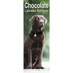 Foto van Labrador retriever kalender bruin 2023 slimline