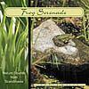 Foto van Frog serenade - cd (5709027211622)