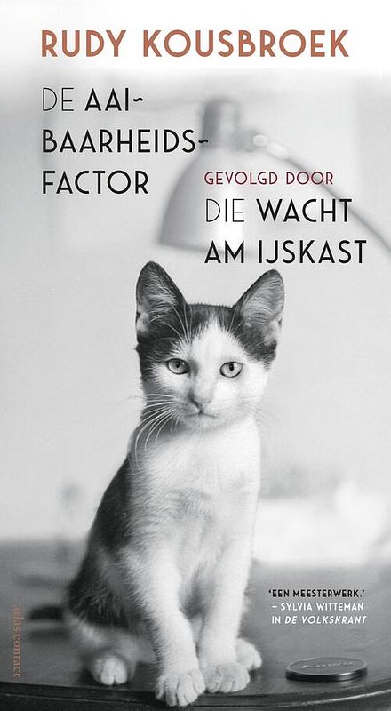 Foto van De aaibaarheidsfactor - rudy kousbroek - ebook (9789025440749)