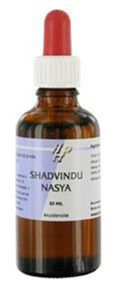 Foto van Holisan shadvindu nasya 50ml