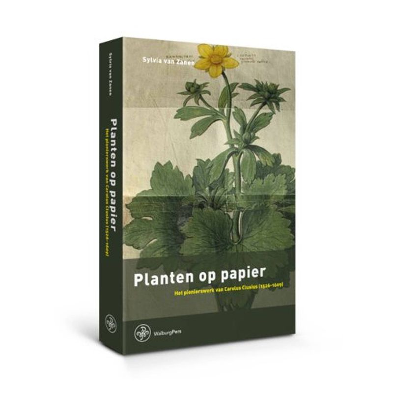 Foto van Planten op papier