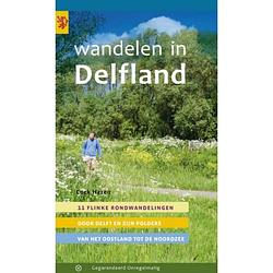 Foto van Wandelen in delfland