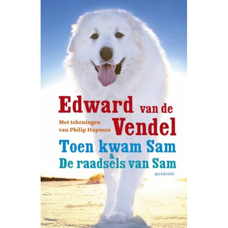 Foto van Toen kwam sam & de raadsels van sam