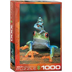 Foto van Eurographics puzzel red-eyed tree frog - 1000 stukjes
