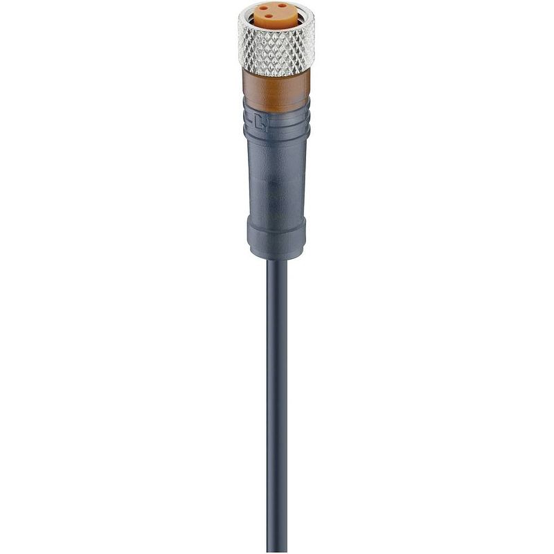 Foto van Lumberg automation 12955-1 sensor/actuator connector, geassembleerd m8 aantal polen: 3 bus, recht 5.00 m 1 stuk(s)