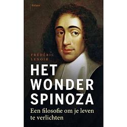 Foto van Spinoza en de weg naar het geluk