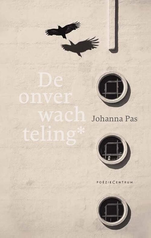 Foto van De onverwachteling* - johanna pas - paperback (9789056553319)