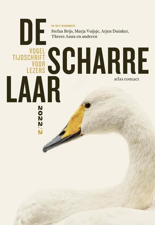 Foto van De scharrelaar - diverse auteurs - paperback (9789045047485)