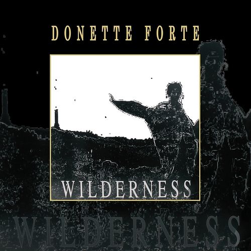 Foto van Wilderness - lp (5051142007421)