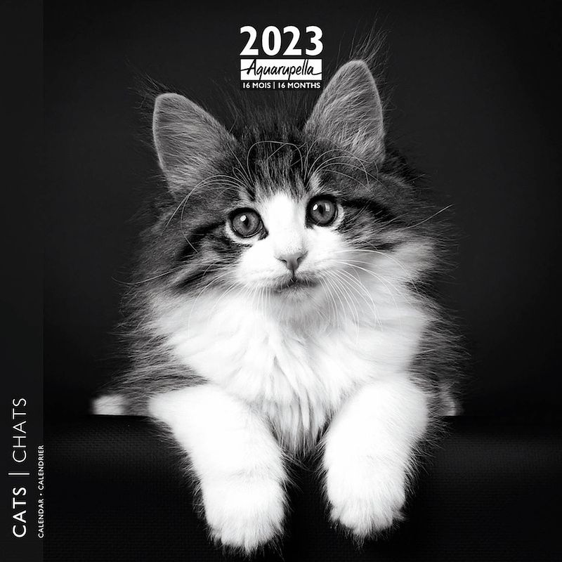 Foto van Black and white katten kalender 2023