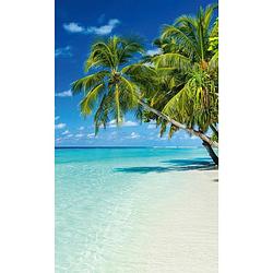 Foto van Dimex paradise beach vlies fotobehang 150x250cm 2-banen