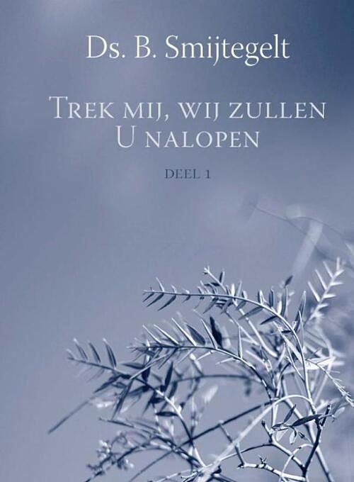 Foto van Trek mij, wij zullen u nalopen - b. smijtegelt - ebook (9789462780927)