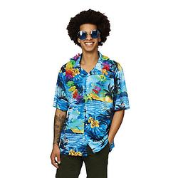 Foto van Hawaii overhemd voor heren 58 (2xl) - carnavalsblouses