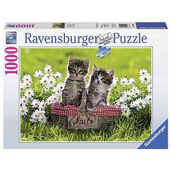 Foto van Ravensburger puzzel picknick in de wei - 1000 stukjes
