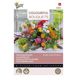 Foto van Buzzy - colourful bouquets, rustic dried flowers (droogbloem 1)