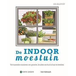 Foto van De indoor moestuin