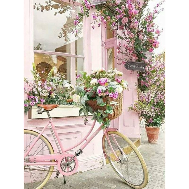 Foto van Rubye diamond painting volwassenen & kinderen - diamond painting pakket volledig - bloemen fiets - 30x40cm