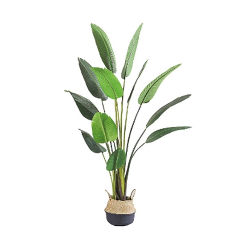 Foto van Buitengewoon de boet - kunstplant blad strelitzia soft 80 cm