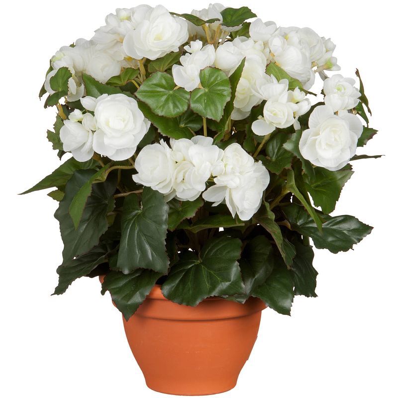 Foto van Witte begonia kunstplant 37 cm in terracotta pot - kunstplanten