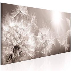 Foto van Artgeist summer dandelions canvas schilderij 135x45cm