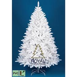 Foto van Royal christmas witte kunstkerstboom washington promo 180cm
