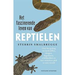 Foto van Het fascinerende leven van reptielen