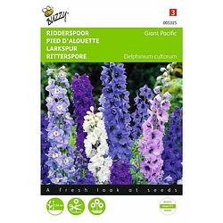 Foto van 2 stuks delphinium cultorum giant pacific