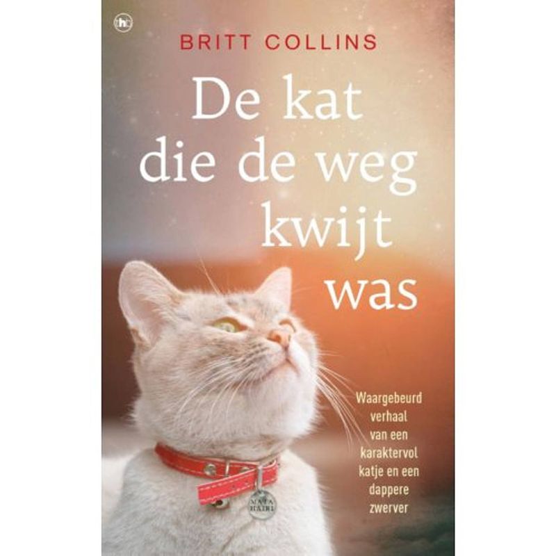 Foto van De kat die de weg kwijt was