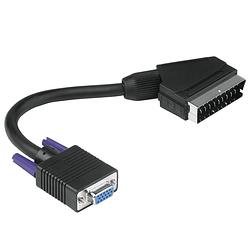 Foto van Hama scart-vga-adapter it presenter zwart