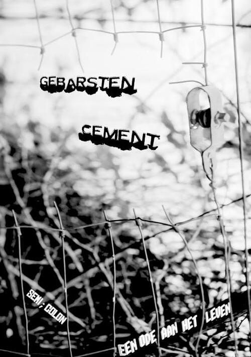 Foto van Gebarsten cement - colon, semi - paperback (9789464851298)