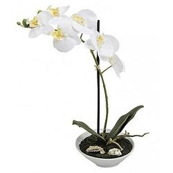 Foto van Kunstplant orchidee in pot 38 cm wit - kunstplanten