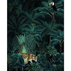 Foto van Komar jungle night vlies fotobehang 200x250cm 4-banen