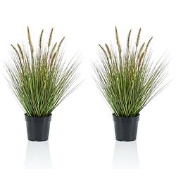Foto van Set van 2x stuks kunstplanten groen gras sprieten 58 cm. - kunstplanten