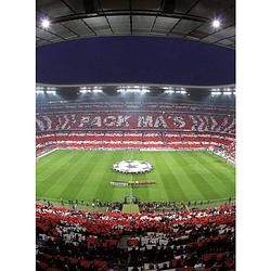 Foto van Wizard+genius fc bayern münchen stadion choreo vlies fotobehang 192x260cm 4-banen