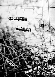 Foto van Gebarsten cement - colon, semi - paperback (9789464859621)