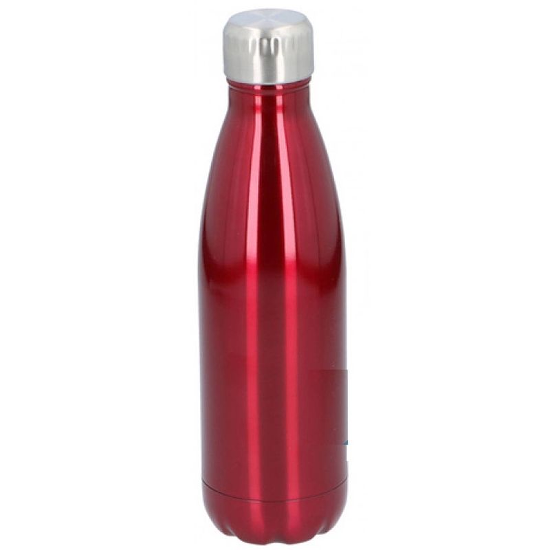 Foto van Alpina drinkfles 500 ml rood