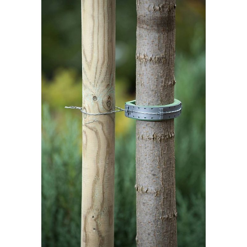 Foto van Nature - softboomband groen 30x2,5cm set a 2 stuks