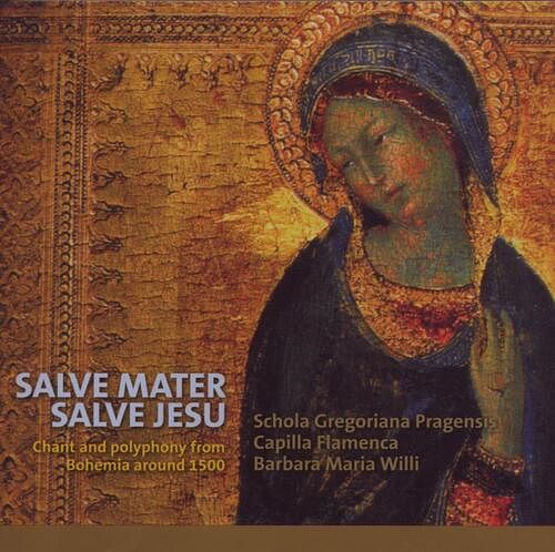 Foto van Salve mater, salve jesu - cd (8711801101750)