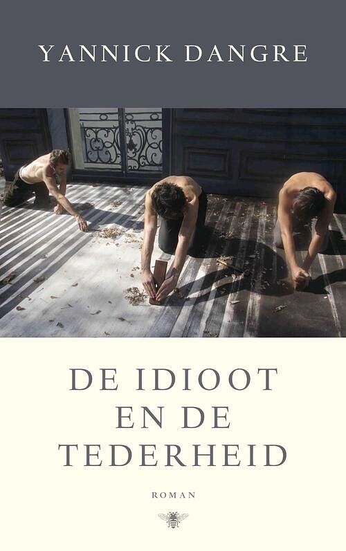 Foto van De idioot en de tederheid - yannick dangre - ebook (9789023496540)