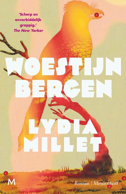 Foto van Woestijnbergen - lydia millet - ebook