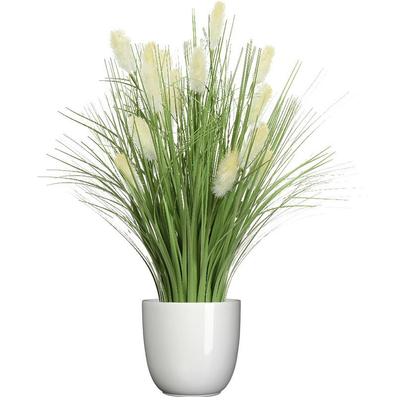 Foto van Kunstplant rietgras/pluimgras - in pot wit - keramiek - h70 cm - kunstbloemen