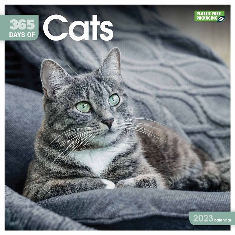 Foto van 365 days cats kalender 2023