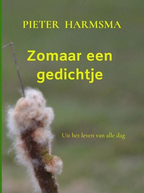 Foto van Zomaar een gedichtje - pieter harmsma - paperback (9789403679563)