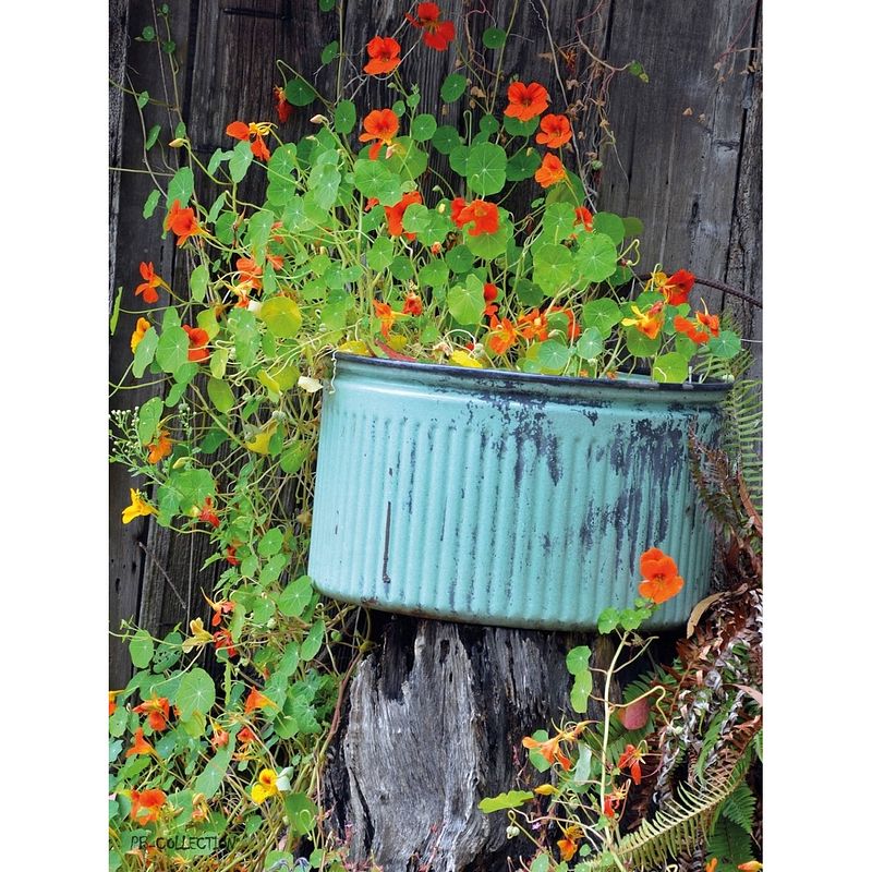 Foto van 2 stuks tuinschilderij nasturtium old tub 50x70cm