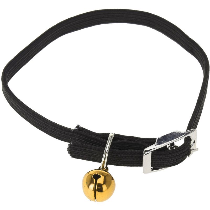 Foto van Pets collection kattenhalsband 33 cm elastaan zwart one-size