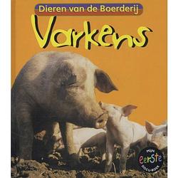 Foto van Varkens - dieren van de boerderij