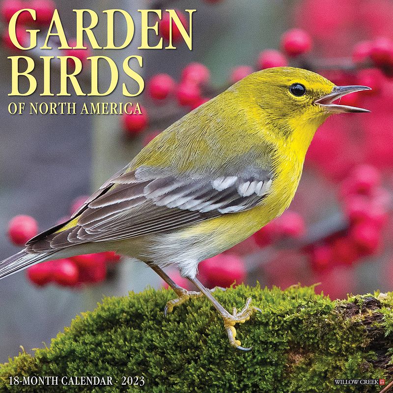 Foto van Garden birds kalender 2023