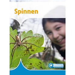 Foto van Spinnen