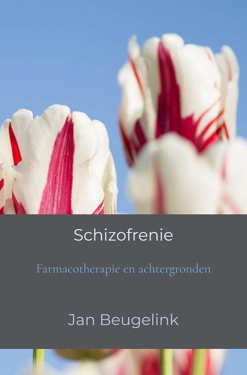 Foto van Schizofrenie - jan beugelink - paperback (9789464652871)